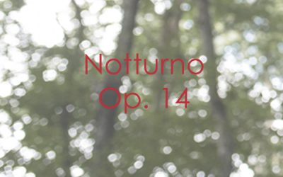 Notturno Op. 14