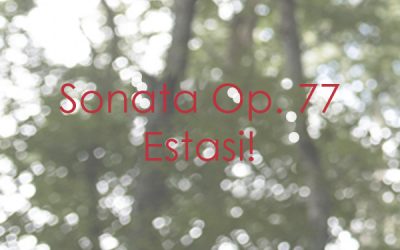 Sonata Op. 77 “Estasi!”