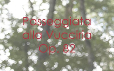 Passeggiata alla Vucciria Op. 82