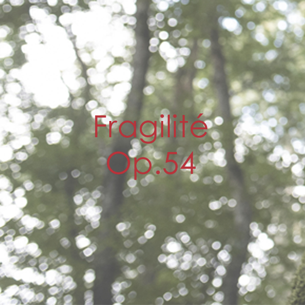Fragilité Op. 54